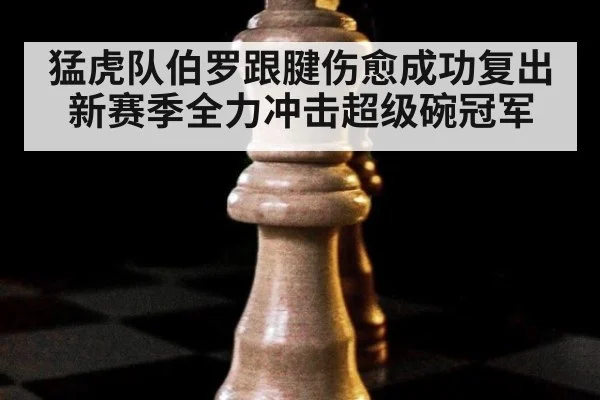 猛虎队伯罗跟腱伤愈成功复出 新赛季全力冲击超级碗冠军